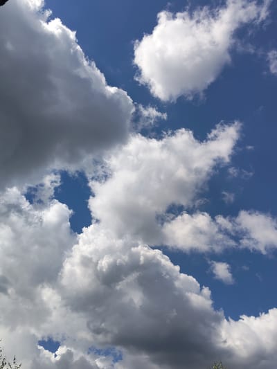 The image shows a blue sky filled with fluffy white and grey clouds. The clouds are varied in size and density, with some appearing to be cumulus clouds and others more wispy. The sunlight illuminates the white parts of the clouds, creating bright highlights, while the grey portions suggest shadowing and depth. There are several openings in the clouds revealing the deep blue sky beneath. In the lower corners of the image, the tops of some green leaves and branches are visible, suggesting that the photograph was taken outdoors, possibly from the ground looking upwards. The lighting suggests it is daytime, with the sun likely overhead or slightly to the side, casting shadows on the clouds. The overall impression is one of a dynamic and cloudy sky. There is no visible text in the image.