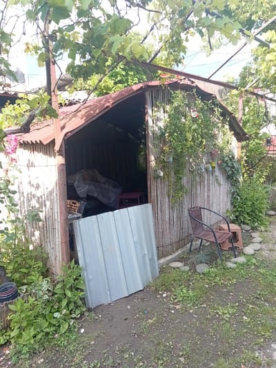This image depicts a weathered, rustic shed constructed from bamboo, situated in a garden setting. The shed has a corrugated metal roof that appears to be rusted. The entrance to the shed is open, revealing stored items covered by a large plastic tarp. In front of the shed, a metal sheet leans against the structure. A woven wicker chair and a small plastic stool are placed on the ground to the right of the shed, surrounded by decorative stones and various green plants. Vines with small, colorful cups hanging from them adorn the bamboo wall of the shed. The overall scene suggests a slightly overgrown and informal outdoor space, possibly a backyard or a communal garden area in Poti, Georgia, given the presence of lush vegetation and the architectural style of the shed.