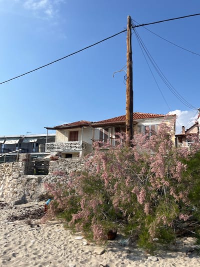The image shows a single-story house with a red tile roof, located in the coastal town of Limenaria on the island of Thassos, Greece. The house is partially obscured by a large bush with pink flowers growing in front of it. Behind the bush is a tall wooden utility pole with electrical wires running across the sky. The house appears to be abandoned and in need of repair. The image was taken in the late afternoon under clear blue skies. The ground is covered in loose sand and debris. The coordinates given (latitude: 40.626, longitude: 24.571) are accurate for a location in Limenaria, Greece. The house is located close to the beach, and the scene is quiet and serene.