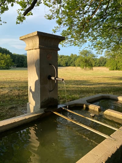 This is a medium shot of a stone water fountain in Milvignes, Switzerland. The fountain is made of concrete and has a trough for water. Water is flowing from a spigot into the trough. The fountain is surrounded by grass and trees. In the background, there is a field and a forest. The sun is setting, casting long shadows. The overall atmosphere is peaceful and serene.
