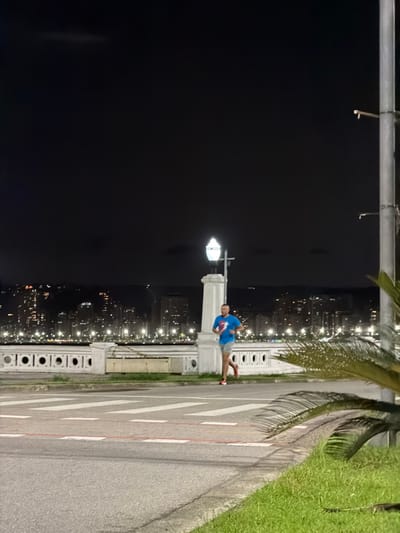 A person in a blue shirt and grey shorts stands on a sidewalk next to a road with white markings. He holds a football. Behind the sidewalk is a decorative concrete railing. Beyond the railing is a city skyline at night with many lights. A lamppost is next to the person. To the right of the road is green grass and a palm tree. The sky is black.