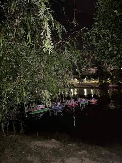 At night in Amarante, Portugal, a view from the riverbank is partially obscured by the dense branches and leaves of an overhanging tree. Reflections of distant lights shimmer on the dark water of the river, revealing several colorful paddle boats moored along a dock. The far bank is lined with trees and illuminated by streetlights. The immediate foreground shows the grassy bank of the river.
