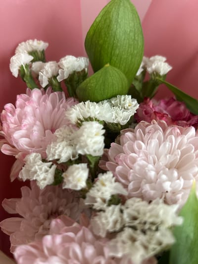 The media file is a close-up, shallow depth-of-field photograph of a bouquet of flowers. The primary subjects are several light pink chrysanthemums and small white flowers, possibly statice. The flowers are arranged with prominent green leaves, one of which is large and heart-shaped with visible veins. The background is a soft pink surface, likely wrapping paper or a solid colored backdrop.
There is no discernible activity or event taking place; the image appears to be a still life composition. Notable details include the delicate, layered petals of the chrysanthemums and the textured, ruffled appearance of the white flowers. The lighting is soft, suggesting an indoor setting or diffused natural light, and there are no clear indicators of the time of day or specific weather conditions. The location context provided is Angarsk, Russia, but there are no visual cues within the image to confirm this location. No text is visible in the media file. The overall mood conveyed is one of gentle beauty and floral arrangement.
