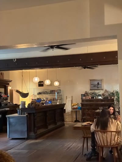 This media file captures an indoor scene, likely a cafe or restaurant, in Ojai, United States of America. Two individuals are visible, seated at a table in what appears to be the background. One person, facing away from the camera, has long dark hair and is wearing a light-colored top. The other person, partially visible, is looking towards the first. They are seated on wooden chairs at a wooden table.
The setting features rustic wooden elements, including the table, chairs, and what seems to be a dark wooden cabinet or bar in the background. Several pendant lights with white, spherical shades hang from the ceiling, illuminating the space. A framed picture of a bird hangs on the wall above the cabinet. Plants are also present, adding a touch of greenery to the decor.
In the foreground, a black ceiling fan is visible, its blades slightly blurred, suggesting it might be in motion. Another fan is visible lower down on the left side of the image. A reflective surface, possibly a mirror or glass panel, is positioned to the left, partially obscuring the view. A black bird-like sculpture hangs from a wire in the mid-ground. Various items are visible on shelves and counters behind the bar area, including bottles, glasses, and electronic devices like computer monitors.
The lighting suggests it could be evening or a dimly lit interior. The overall atmosphere appears relaxed and casual. No specific text is clearly legible in the image.