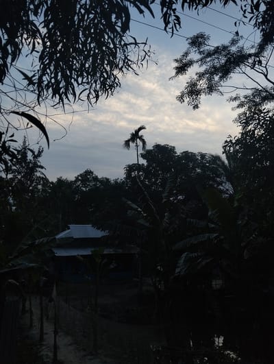 The image, taken in Southkhali, Bangladesh, shows a scene shrouded in darkness. The silhouette of a house with a corrugated metal roof is visible amidst dense vegetation. Trees, including palms and banana plants, frame the scene. The sky is visible through gaps in the foliage, displaying a cloudy pattern. The overall impression is one of a rural setting at dusk or dawn.