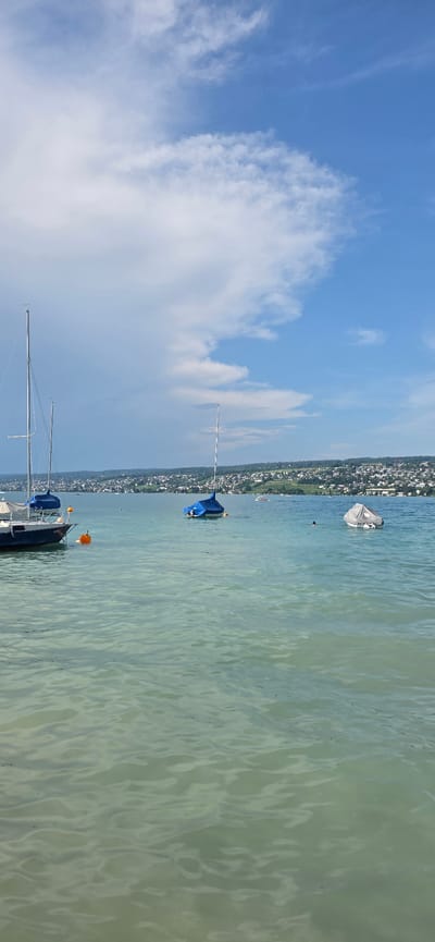 This is a vertical, medium-shot photograph taken on a sunny day, capturing a body of water, likely Lake Zurich, with the town of Oberrieden, Switzerland, visible in the background. The foreground is dominated by calm, greenish-blue water with gentle ripples. In the middle ground, several sailboats are moored. The boat on the left is dark blue with a white hull and has a tall mast. Two orange buoys are visible near it. Further to the right, another sailboat is covered with a blue tarp and has a mast. A third boat, further in the distance, is covered with a grey tarp. In the far distance, the shoreline of Oberrieden is lined with numerous buildings, appearing as a dense cluster of houses and structures against a backdrop of green hills. The sky above is a bright blue, with scattered white clouds. One person is visible swimming in the water between the tarp-covered boats. A small group of people are on a distant boat.