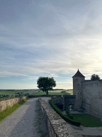 This image depicts an elevated view from the grounds of Stettenfels Castle in Untergruppenbach, Germany, overlooking a rural landscape under a partially clouded sky. The sky, occupying the upper two-thirds, transitions from pale blue-grey on the left to a bright, hazy white-yellow on the right where the sun is located, featuring wispy cirrus clouds and faint contrails.

In the foreground, a light grey gravel path, approximately 2.5 meters wide, curves to the left and recedes into the distance. It is bordered on the left by a stone wall, roughly 1 meter high, with grass growing along its base. On the right, a lower stone wall, about 0.5 meters high, shows visible lichen and moss growth on its top surface. Beyond this right wall, a manicured green lawn is partially visible, bordered by a dark green, sculpted hedge.

In the midground, on the right side, a cylindrical stone castle tower with a steep, conical reddish-brown tiled roof stands prominently. The tower features several small, rectangular windows. Adjacent to the tower is a larger section of the castle's stone wall, which includes an arched doorway fitted with a dark metal grate and, further left, another arched entrance beneath a wooden structure, possibly a walkway or bridge. A solitary, mature deciduous tree with a dense, dark green canopy stands near the path, slightly to the left of the castle tower.

The background presents a panoramic view of undulating agricultural fields, displaying various shades of green and light brown, suggesting different crops. Scattered clusters of trees and distant structures, likely farmhouses or small settlements, are visible across the landscape. A hazy horizon line marks the transition to the sky. No individuals are present in the scene. The lighting suggests either late afternoon or early morning, with diffuse sunlight originating from the right side of the frame.
