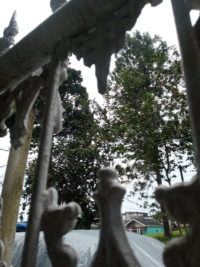 The scene depicts an outdoor environment in Kotakonda, India, viewed through an ornate, heavily blurred, light-colored structure in the foreground, possibly a railing or decorative screen. This structure occupies the top, bottom, and sides of the frame, with irregular, pointed, and stylized elements. Beyond the foreground element, the midground and background are in focus. Dominating the upper portion of the view are two large trees with dense green foliage, obscuring much of the sky, which appears overcast and bright. A taller, darker green tree stands on the left, while a tree with lighter green leaves and more visible branches is on the right. Below the trees and above a large, crumpled gray tarp-like surface, glimpses of urban structures are visible. These include a utility pole on the left and, further back on the right, a small building with a dark roof and a turquoise lower section. Behind this, a larger, multi-story building with a light-colored facade is partially visible. Thin utility lines traverse horizontally in the background. No individuals, explicit actions, or interactions are discernible.
