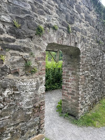 The image shows a weathered stone archway in a ruin located in Castlecomer, Ireland. The archway is constructed from rough-hewn grey stones interspersed with some brickwork, showing signs of age and erosion. Small ferns and moss are growing in the crevices of the stone walls. Through the archway, a gravel path leads into an area with lush green foliage and a wooden structure visible in the background. The ground around the archway is covered with gravel and patches of grass. The overall impression is one of an old, overgrown historical site.