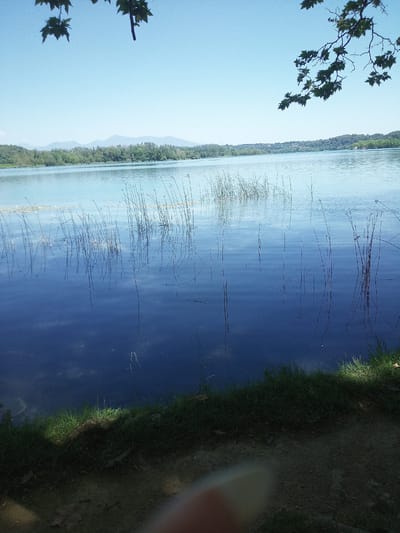 This media file depicts a serene lake scene on a bright, clear day. The water is a deep, reflective blue, mirroring the sky and the reeds that grow along its edge. In the foreground, the grassy bank slopes down to the water, with a sandy path visible. Trees and vegetation line the distant shore, with rolling hills and mountains in the background. The leaves of a tree branch frame the top left of the image, suggesting it's late spring or summer. The overall mood is peaceful and tranquil, evoking a sense of calm nature. There is no visible text in the image.