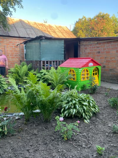 In Romny, Ukraine, a backyard scene features a bright green plastic playhouse with a red roof, a yellow door, and arched yellow windows, positioned on dark soil. Lush green ferns and hosta plants surround the playhouse and a small pond visible on the left. In the background, a man in a pink t-shirt and dark shorts stands near a brick building with a weathered metal roof. A wooden fence and a green mesh screen are also present in the background. The sky is a clear blue.