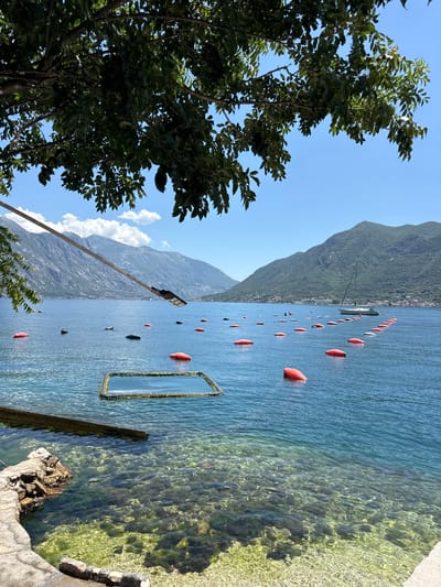 This image captures a daytime scene in Dražin Vrt, Montenegro, depicting a bay enclosed by prominent, verdant mountains under a clear blue sky with scattered white cumulus clouds. In the immediate foreground, a concrete and rocky shoreline on the left transitions into clear blue-green water, revealing a rocky seabed covered with algae. A dark, rectangular floating structure, possibly a marine enclosure, is visible in the water near the shore. A large tree with dense green foliage partially frames the upper left section of the image. Extending diagonally from the upper left, a light-colored pole supports a black, multi-panel solar-powered light fixture positioned above the water. The midground of the bay is marked by numerous red, elongated buoys and several dark, irregularly shaped floats, arranged in an irregular pattern indicative of marine cultivation or a designated area. A white sailboat with a visible mast is present in the mid-right portion of the bay. Distant settlements are discernible along the base of the mountains that flank both sides of the bay in the background.