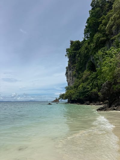 A serene beach scene unfolds on Ton Sai Beach, Thailand, under a pale blue, cloudy sky. The foreground is dominated by crystal-clear, shallow turquoise water gently lapping against a light-colored sandy shore. The water is transparent enough to reveal the sandy bottom. To the right, dark, rugged rocks line the edge of the beach, partially submerged in the water.

In the mid-ground, the calm sea extends towards a distant horizon where faint, hazy mountains are visible. A small, rocky islet with a lone tree grows from its top is positioned in the water to the right of center, and a white speedboat is seen in the distance, moving away from the islet.

The dominant feature of the background is a towering, sheer limestone cliff face, densely covered in vibrant green foliage. The cliff rises dramatically from the water's edge, creating a natural, jungle-like backdrop. The vegetation cascades down the cliff face and extends along the rocky shoreline, suggesting a lush, tropical environment. The scene is devoid of any people or visible man-made structures, emphasizing the natural beauty of the location. The overall impression is one of tranquility and untouched natural landscape.