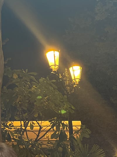 At night in Montélimar, France, a scene unfolds featuring two illuminated, vintage-style street lamps that cast a warm, golden light. These lamps stand amidst vegetation, including leafy plants and a partial view of what appears to be a palm. Behind the foliage, a pale structure with vertical lines is visible. The background is dark, contrasting with the lighted elements, which suggests the photograph was taken during the evening or nighttime. No people are visible in the frame.