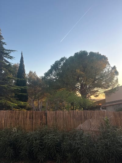 The image depicts a daytime scene in Lourmarin, France. A bright blue sky is visible with a single contrail extending diagonally across the upper left quadrant. The midground is dominated by a variety of green trees, including tall, slender conifers and larger, broader-leafed species. To the right is a bamboo fence, providing a textured vertical element. The upper right portion of the image shows a building structure.