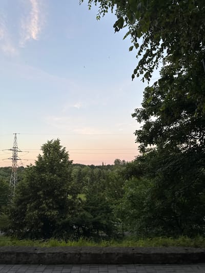 This media file is a photograph of an outdoor scene featuring a tree-lined landscape under a soft sky. The image is oriented vertically, with the sky occupying the left side and the ground and trees on the right.

On the left, the sky transitions from a pale blue at the top to a soft pinkish hue closer to the horizon. A few wispy clouds are scattered across the sky, and small dark specks that could be birds or insects are visible.

The right side of the image is dominated by lush green trees. A tall, lattice-like electrical pylon stands in the middle ground, with power lines stretching horizontally across the frame. The trees form a dense canopy, obscuring much of the landscape behind them, though a hint of green fields can be seen through gaps in the foliage.

Along the far right edge of the image, there's a textured, grey, stone structure, possibly a wall or a pathway, bordered by a strip of green grass. The lighting suggests it is either early morning or late evening, likely during the golden hour, given the soft, warm tones in the sky. There is no visible text in the image. The overall mood is serene and natural, evoking a sense of peacefulness. The presence of the electrical pylon indicates a proximity to a power grid, hinting at a semi-rural or suburban setting.