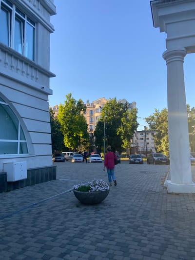 The image depicts a street scene in Nyzhni Mlyny, Ukraine. The perspective is from a low angle, looking upwards towards a blue sky. On the left, a portion of a white building with architectural details like columns and decorative elements is visible. In the background, several multi-story buildings and lush green trees line the street. Cars are parked along the side of the road. A person wearing a pink jacket and blue jeans is walking on a paved sidewalk. They are carrying a black bag over their shoulder. In the foreground, a large stone planter filled with small white flowers sits on the sidewalk. The lighting suggests it is daytime, likely late afternoon or early evening, as the sun casts a warm glow. The overall scene appears calm and ordinary, with no specific event being captured.