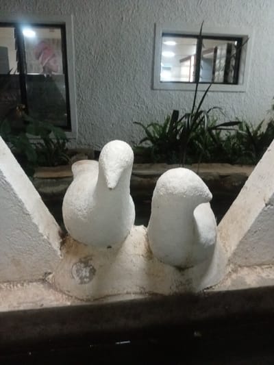 Two white, plump bird-shaped sculptures sit on a weathered white concrete structure. The structure appears to be part of a building or courtyard feature. Behind, a textured white wall showcases two windows reflecting light. Green foliage peeks out from behind the sculpture and around the windows, adding a touch of nature to the scene. A dark vertical element is visible on the right side.