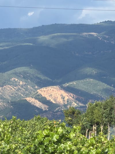 The image shows a landscape with rolling hills covered in greenery. In the mid-ground, there are distinctive eroded rock formations with a reddish-brown hue, standing out against the surrounding vegetation. In the foreground, there is a dense area of lush green grapevines. The sky above is a mix of blue and grey clouds, with a thin wire spanning across the upper portion of the image. The scene is likely a rural area, possibly in or around the town of Kocherinovo, Bulgaria, known for its natural beauty and agricultural landscapes. There are no people or animals visible in the image.