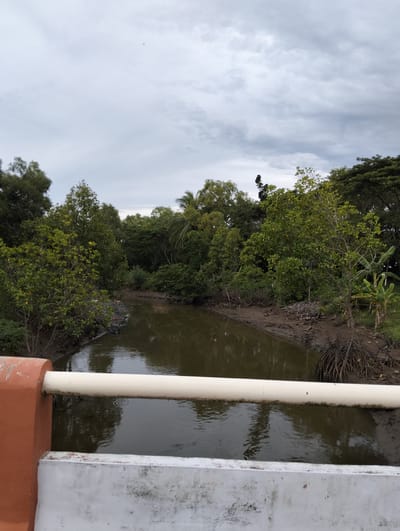 The image depicts a serene natural scene of a muddy river flowing through a lush mangrove forest. The river, with its murky, brown water, reflects the overcast sky and the dense green foliage lining its banks. The banks are a mix of mud and exposed mangrove roots, testament to the tidal nature of the environment. The forest is a vibrant tapestry of various shades of green, with tall trees and smaller shrubs forming a thick canopy. Some banana plants are visible on the right bank, adding to the tropical feel of the location.
In the foreground, a bridge railing is visible, painted in orange and white. The railing is weathered, with patches of dirt and wear, suggesting it has been exposed to the elements for some time. The railing is the only man-made element that interrupts the natural landscape.
The sky is heavily clouded, indicating an overcast or possibly rainy day. The clouds are a mix of light and dark grays, creating a diffused light that softens the overall scene. A single bird is visible as a small black speck high in the sky.
The overall impression is one of tranquility and untouched natural beauty. The scene evokes a sense of peace and the raw, untamed power of nature. The location is identifiable as Tambontunong, Indonesia, a place known for its mangrove ecosystems. No specific activity is taking place; the image captures a static moment in time, a snapshot of a quiet afternoon in this Indonesian mangrove forest. There is no visible text in the image.