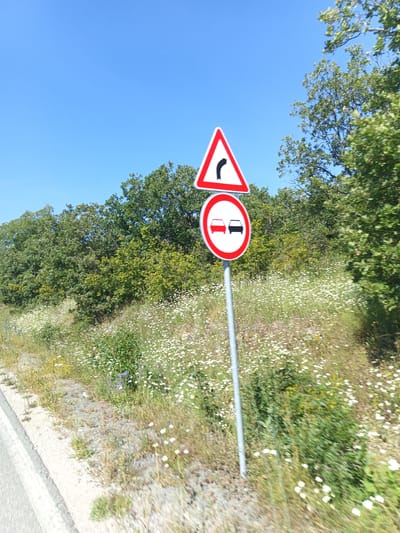 A bright, sunny day with a clear blue sky. In the foreground, a gray asphalt road runs along the left side of the image. To the right of the road, a grassy embankment is covered with numerous white wildflowers. A metal pole stands on the embankment, displaying two traffic signs. The upper sign is a red-bordered triangle with a black curved arrow pointing to the left, indicating a sharp left turn ahead. Below it, a circular red-bordered sign shows two cars, one red and one black, with a red diagonal line crossing them, signifying no overtaking. In the background, dense green trees form a natural backdrop, with some foliage appearing yellow-green, suggesting they are catching the sunlight. The overall scene depicts a rural roadside in the vicinity of Krumovo, Bulgaria.