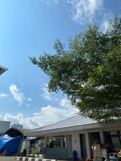 The image depicts an outdoor scene in Gambut Barat, Indonesia, under a bright blue sky with scattered white clouds. In the foreground, a large tree with lush green foliage partially obscures the view of a building with a corrugated metal roof. The building appears to be a single-story structure with several doorways. To the left, a blue tarp covers some unseen items, possibly construction materials or stored goods. In the middle ground, there are some stacked boxes and what appears to be an outdoor seating area. A person is visible sitting on what looks like a ledge in front of the building. In the background, a tall modern building stands against the sky. The scene appears to be an urban or semi-urban environment.