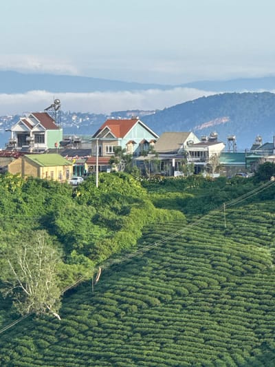 This image depicts a rural landscape in Trường Thọ, Vietnam, characterized by rolling hills covered in lush green tea fields. Several houses with distinct architectural styles, some featuring red tiled roofs and solar water heaters, are nestled on the slopes. A white car is visible parked in front of a yellow house. Power lines crisscross the scene, strung between poles. The background is dominated by layers of misty mountains, suggesting a high-altitude location. The sky is a pale blue with scattered clouds. The overall scene conveys a sense of peaceful, agricultural life in a scenic, mountainous region.