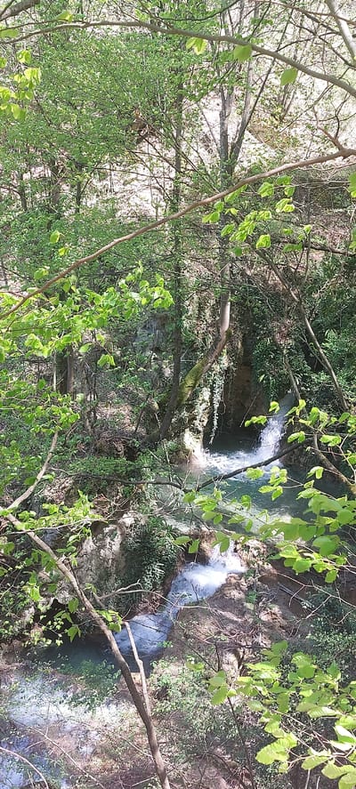 The image depicts a waterfall cascading through a lush, green forest. The scene is viewed from above, looking down upon the multiple tiers of the waterfall. Bright green foliage is visible in the foreground and throughout the surrounding area. The water is flowing rapidly, creating a white, frothy appearance. Branches from trees and bushes frame the waterfall. The image is taken at Бачковски манастир, Bulgaria.