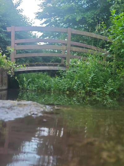 The image shows a wooden bridge spanning a shallow stream. The bridge has a curved railing made of horizontal wooden planks. Lush green vegetation, including tall grasses and leafy plants, grows on either side of the stream and under the bridge. The water reflects the bridge and the surrounding greenery. The viewpoint is low, at the edge of the stream, with a blurred foreground of a rocky bank. The scene appears to be in a natural outdoor setting, possibly a park or a wooded area. The provided crops focus on different sections of the bridge and vegetation.