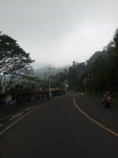 A winding road curves through a landscape with lush, forested hills shrouded in mist. Several motorbikes travel along the road, with a group of people riding one in the foreground. Small, weathered stalls line the roadside to the left. Tall trees frame the scene on either side, adding to the natural setting. The sky is overcast, contributing to a muted color palette.
