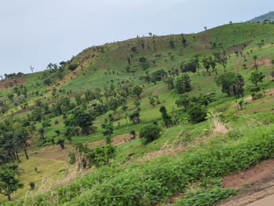 The image depicts a landscape in Kaninkon, Nigeria. It shows a hillside covered in green vegetation, interspersed with trees and shrubs. The sky is overcast. The foreground contains dense, green ground cover and the edge of a paved road. There is no clear indication of people present.