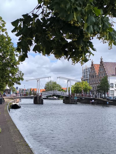This is a vertical, eye-level, medium shot of a drawbridge over a canal in Haarlem, Netherlands. The drawbridge is white and open, with one side raised. The canal is dark blue and calm. On the left side of the canal is a brick walkway with a few people walking and a bicycle parked. Further down the walkway are some buildings with windows and doors. On the right side of the canal are more buildings with traditional Dutch architecture, some with red tiled roofs. There are trees and cars parked along the right bank. A few boats are visible in the canal and along the banks. In the foreground, there are some tree branches with green leaves and small yellow flowers hanging down, partially obscuring the view. The sky is cloudy.