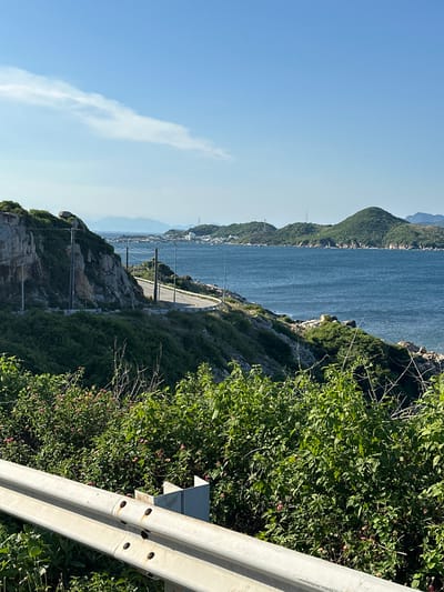 A winding road follows the coastline on a sunny day. The road is paved with asphalt and bordered by a guardrail. On the left, a rocky cliff face is covered with green vegetation. On the right, the turquoise ocean stretches to the horizon, with a chain of green, hilly islands in the distance. The sky is a clear blue with a few wispy white clouds. In the foreground, dense green bushes with small pink flowers grow along the roadside. The scene suggests a scenic coastal route in the vicinity of Vinh Hai, Vietnam. There are no people or animals visible in the image.