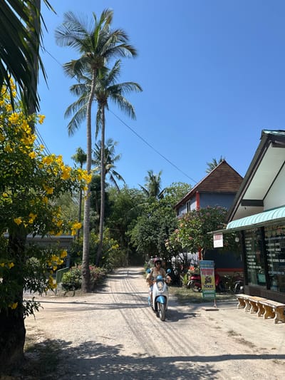 This image depicts a sunny, tropical street scene in Phra Ae, Thailand, on an unpaved dirt road. One individual is operating a light blue and white scooter, traveling towards the viewer, positioned slightly right of the road's center. The person is wearing a light-colored top, sunglasses, and a purple-pink helmet.
To the right, a single-story building with a turquoise corrugated awning covers a storefront. Visible through the glass are signs advertising services such as "HELLO ME TOURS," "LAUNDRY," "VISA RUN," "ELEPHANT RIDING," and "SNORKELING TRIPS." Several light-colored concrete benches are arranged outside this storefront. Adjacent to the building, a yellow and blue sign explicitly advertises "MOTORBIKE FOR RENT," "TICKET," and "LAUNDRY SERVICE," with a graphic of a scooter. Two other motorbikes are parked behind this sign. Further back on the right, a two-story building with gray walls and a distinct brown, steeply pitched pyramid-like roof is visible.
To the left, a large tree with vibrant yellow flowers dominates the immediate foreground. Tall palm trees line the dirt road, which shows prominent tire tracks and shadows indicative of direct sunlight. Dense tropical foliage and additional palm trees form the background along both sides of the road. The sky is clear and blue, with a single power line extending across the upper frame.