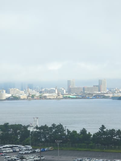 The image depicts a hazy, overcast day overlooking a harbor area in Chiba, Japan. In the foreground, a large parking lot filled with numerous white vans and some cars is visible. Behind the parking lot, a dense line of dark green trees separates the parking area from a body of water. On the water, a white ship with red detailing on its upper structure is docked. Further out, across the water, a cityscape of industrial buildings, cranes, and apartment buildings is present, partially obscured by fog and mist. The sky is uniformly light gray and cloudy.