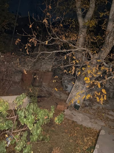 The scene is an outdoor area in Karbi, Armenia, observed under low light conditions, indicative of night or deep twilight. A large deciduous tree with a light-colored, multi-stemmed trunk and extensive branching, bearing sparse yellow-brown autumn leaves and numerous bare branches, occupies the right side and upper half of the frame. At the base of this tree, a dark green container with white contents is present, alongside a flattened cardboard box. Sections of concrete paving or broken slabs are visible on the ground in the lower right.
In the mid-ground, slightly to the left of center, three rusted metal barrels stand upright against a rough stone or concrete retaining wall. The ground throughout the scene is largely covered with fallen brown leaves and appears uneven. In the foreground, particularly on the left, dense clusters of shrubs and smaller plants are visible, some retaining green foliage, others appearing dry. A light-colored, elongated object is partially obscured by the foliage in the lower left foreground. No human figures are present. The background shows a dark, clear sky.