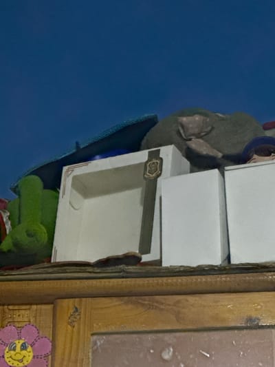 The image captures a close-up view of various items piled on top of a wooden shelf. The background is a dark blue, possibly the sky. In the foreground, a pink flower-shaped decoration with a smiley face is visible on the left side, attached to a wooden surface. Above the shelf, an assortment of objects is arranged, including a green stuffed character, a white box with a decorative border, and a large, soft, gray object that appears to be a pillow or stuffed animal. A dark blue cap or hat is also partially visible on the right side of the frame. The lighting suggests it is either dusk or nighttime. The scene is indoors, with the wooden shelf and decoration indicating it's likely within a home or storage area. There is no specific indication of El Maco, Venezuela.