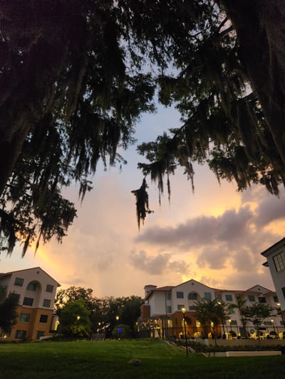 The image captures a serene twilight scene in Winter Park, Florida, United States of America. The sky is painted with soft hues of orange and purple from the setting sun, with fluffy clouds drifting by. Overhanging branches, draped with Spanish moss, frame the sky from the top. Below, modern residential buildings with red-tiled roofs stand nestled amongst lush greenery and trees. Several lampposts are visible, casting a warm glow on the pathways and lawns, creating an inviting atmosphere. The overall impression is one of tranquility and natural beauty blending with man-made structures.