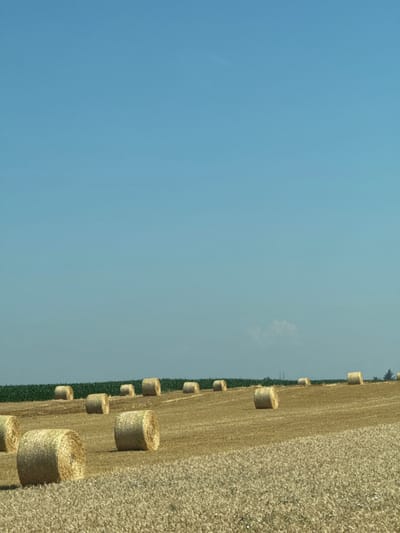 A field with numerous hay bales lines the right side of the image, extending towards the horizon. The bales form a distinct row near the edge of a green, leafy strip. A vast, clear blue sky dominates the left portion of the frame. A sparse, faint cloud is visible. The arrangement creates a sharp contrast between the earthy tones of the field and the vibrant hue of the sky.