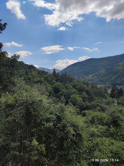 The image depicts a lush, green mountainous landscape under a bright blue sky dotted with fluffy white clouds. In the foreground, dense trees and bushes dominate the scene, creating a natural, untamed feel. Further into the distance, rolling hills covered in more trees rise up, their slopes varying in shade of green. A few scattered buildings and a hint of a road or railway line can be seen nestled within the valley, suggesting a rural or semi-rural settlement. Power lines stretch across the landscape, indicating the presence of human infrastructure. The overall impression is one of natural beauty and tranquility, with the sun likely shining, given the bright sky and clear visibility.

The visible text in the bottom right corner reads "19.06.2026 15:14", indicating the date and time the photograph was taken. Based on the lighting and the clear sky, it is mid-afternoon on a pleasant day. The location is identified as Tompsan, Bulgaria, which aligns with the mountainous terrain and vegetation visible in the image. No people or specific events are depicted, the focus being solely on the natural scenery and the atmospheric conditions of the day.