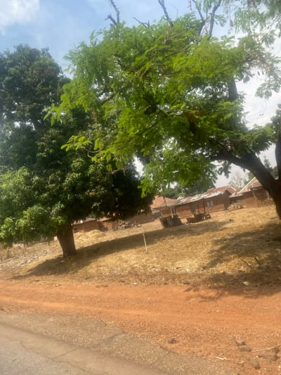 The scene depicts a rural area in Nandu, Nigeria, under daylight conditions. The lower foreground consists of a dark grey paved surface transitioning into a reddish-brown dirt road. This ground then extends into a field of dry, yellowish grass and sparse vegetation, marked by long shadows cast from the left. Two trees dominate the midground: a dense, dark green-leafed tree on the left, and a tree with lighter green foliage and visible seed pods on the right. In the background, several single-story buildings constructed from reddish-brown material, consistent with mud brick, are visible, topped with corrugated metal roofs. At least two open-fronted structures, resembling market stalls or shelters with wooden frames, are positioned among these buildings. The upper portion of the image shows a light blue sky with scattered white clouds. No individuals are present in the scene.