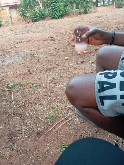 A dark-skinned person holds a glass of white liquid in an outdoor setting. The ground is brown and sparsely covered with dry grass and small plants. Several yellow fruits or objects are scattered on the ground. The person wears gray shorts with large black letters and a dark bracelet. The background shows a building and lush green trees. A pair of legs in black material are also visible in the image.