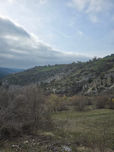 The image shows a landscape in Giovren, Bulgaria, featuring a steep hillside or cliff with rocky outcrops and patches of green vegetation. The right side of the image is dominated by dry grass and bare branches, suggesting a transitional season like late winter or early spring. The sky is visible on the left, displaying a mix of blue sky and scattered clouds. In the distance, hints of lower-lying terrain are visible. The scene lacks any human presence or visible structures beyond the natural landscape. The overall impression is one of a rural, rugged environment.