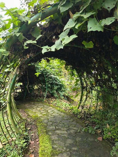 A green tunnel path leads into a sunlit garden. The tunnel is formed by a series of green metal arches covered with vines and leaves. The path is paved with stone, some areas covered with moss. Lush green plants and foliage line the sides of the path, creating a natural and inviting atmosphere. The opening reveals a bright, verdant area.