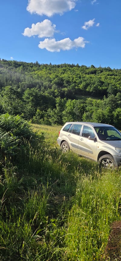 The image depicts a light-colored SUV parked in a grassy field. The vehicle is positioned on the right side of the frame, partially obscured by tall grass. Behind the car, a dense forest covers a hillside under a bright blue sky dotted with white clouds. The foreground is dominated by lush, green vegetation, including ferns and tall grasses. The location is identified as Lesidren, Bulgaria. There are no people visible in the image.