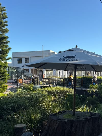 The image depicts an outdoor scene in Hout Bay, South Africa, featuring a Hout Bay Coffee branded umbrella shading outdoor seating. The area is lined with greenery and a tree stump. A building, labeled "Midpoint," is visible in the background with people seated at benches. The sky is clear and blue.