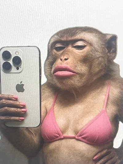 The image shows a close-up, eye-level shot of a monkey with exaggeratedly plump pink lips, wearing a pink bikini top. The monkey is holding an iPhone in its left hand, as if taking a selfie. The phone is silver with a prominent camera array. The monkey's right hand is visible near the bottom right of the frame, resting on what appears to be its side. The background is a plain white surface, suggesting a studio or indoor setting, and does not provide any contextual information about the location in Pruszcz Gdański, Poland.