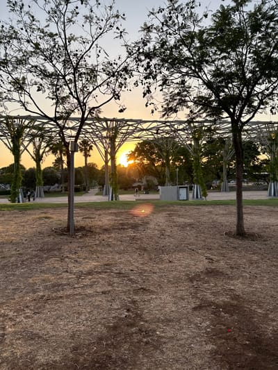 A long shot captures a sunset framed by a metallic structure and trees, with the light radiating through the center. The foreground is dominated by dry, sparse grass. Trees, both leafy and bare-branched, line the sides, contrasting with the modern, geometric architecture. The sky is visible in patches, tinged with the warm hues of the setting sun. The ground has a rustic look.