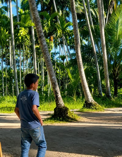 In Silaiyajae, Indonesia, a young boy stands facing away from the camera, his hands in his pockets, looking towards a dense grove of palm trees. He wears a blue t-shirt with white lettering on the back and blue jeans. The ground is a dirt path, with shadows cast by the trees. The palm trees are tall and slender, with lush green fronds reaching towards a clear blue sky. The overall impression is one of a warm, sunny day in a tropical environment.