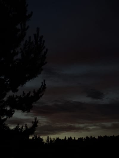 The image depicts a silhouetted coniferous tree branch in the foreground, extending from the left side of the frame and partially obscuring the dark, cloudy sky. The sky transitions from a deep, dark blue at the top to lighter, muted tones of gray and brown with visible cloud formations, suggesting twilight or pre-dawn light. In the background, a dark, silhouetted line of trees forms the horizon. The overall impression is of a natural, outdoor scene, likely in a rural or forested area. No people or specific city landmarks are visible, making it impossible to determine the location within Maksimovo, Russia, based solely on the image content.